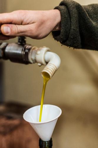 a person pouring honey into a white cup at Tenuta San Felice in Giano dellʼUmbria