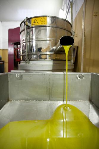 a yellow liquid is coming out of a machine at Tenuta San Felice in Giano dellʼUmbria