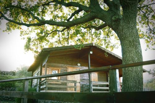 Gallery image of Agriturismo Kikajon in Linguaglossa