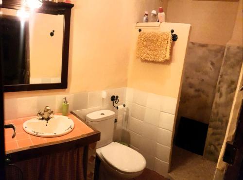 a bathroom with a toilet and a sink and a shower at Casa Francisco Teruel in Cascante del Río