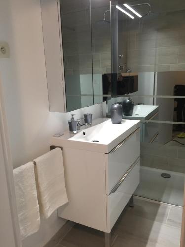 une salle de bain avec un lavabo blanc et un miroir dans l'établissement studio avec terrasse parking, à Six-Fours-les-Plages