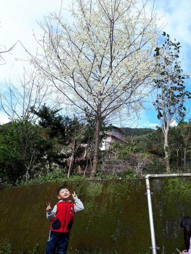 a boy in a red vest standing in a field at Dong Bi Villa in Gukeng