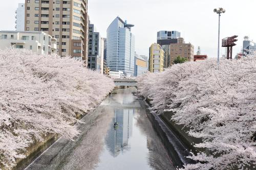 Gallery image of Hotel Gajoen Tokyo in Tokyo