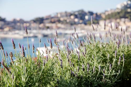 a bunch of purple flowers with a beach in the background at Hotel Esplendido in Port de Soller