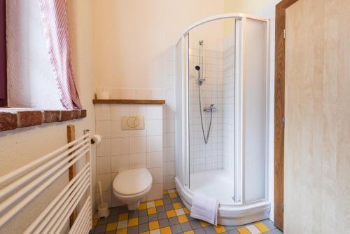 a bathroom with a shower and a toilet at HolidayPark Mlázovy in Kolinec