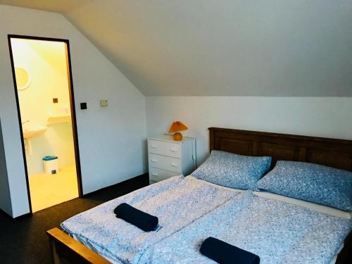 ein Schlafzimmer mit einem Bett und einem großen Spiegel in der Unterkunft Chata Hella in Pernink