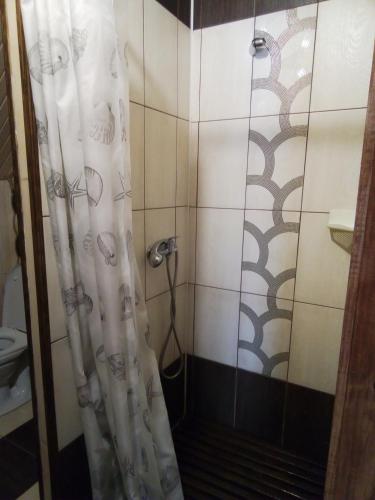 a shower with a shower curtain in a bathroom at Під горою in Sheshory