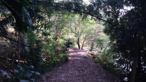 a dirt trail in the middle of a forest at Nature's Hideout Holiday Home in Mirigama