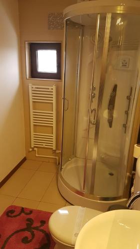 a bathroom with a shower and a toilet at Pensiunea Casa Runcu Buzau in Runcu