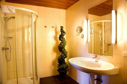 a bathroom with a sink and a shower with a plant at Hotel Haus Krone in Bexbach