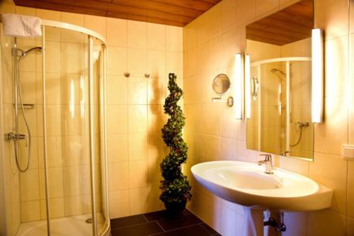 baño con lavabo y ducha con planta en Hotel Haus Krone en Bexbach