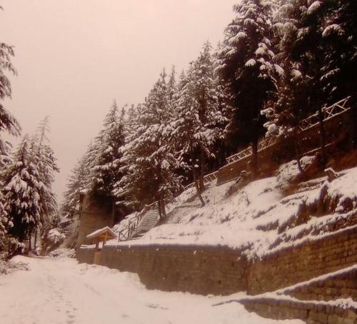 a snow covered hill with trees and a wall at Kudrat - A Boutique Homestay- Tirthan Valley in Banjār