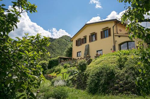 a house on a hill with bushes and trees at Villa Porcigliano Olive Grove in Polcanto