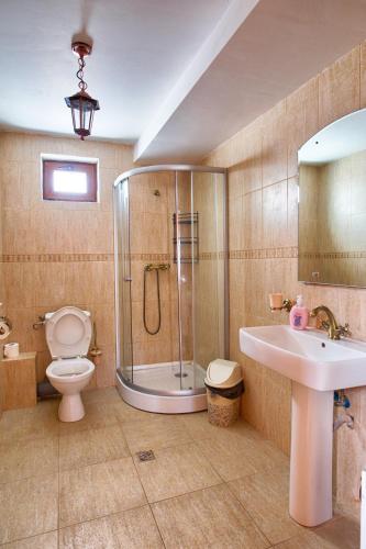 a bathroom with a shower and a toilet and a sink at Casa din Piatra in Poiana