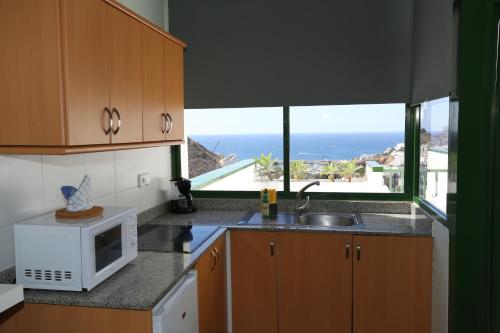 uma cozinha com um lavatório, um micro-ondas e uma janela em Apartamentos Halley em Puerto Rico de Gran Canaria