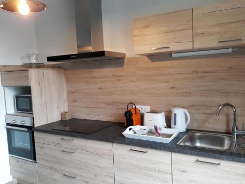 a kitchen with a sink and a counter top at Chalet du Doumet - Appart LUZ centre - parking et garage individuel ferme - draps et serviettes inclus in Luz-Saint-Sauveur