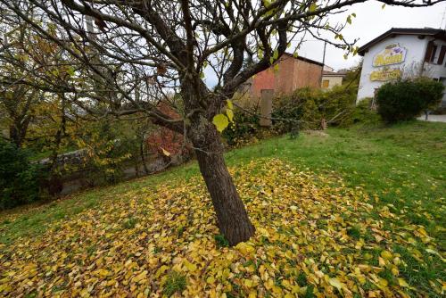 Fotografia z galérie ubytovania Gli Acini v destinácii Pietra deʼ Giorgi