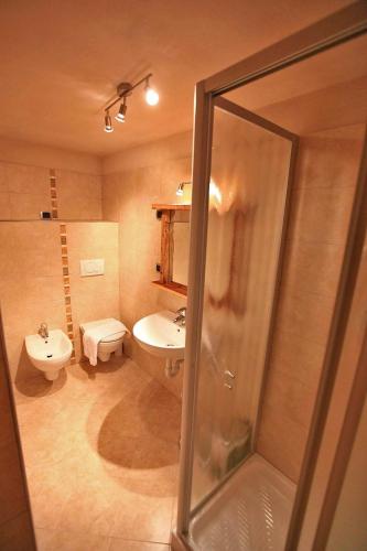 a bathroom with a shower and a sink and a toilet at Maso Toneto in Castello di Fiemme