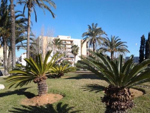 Primera línea en Playa Sur. Plaza Constitución
