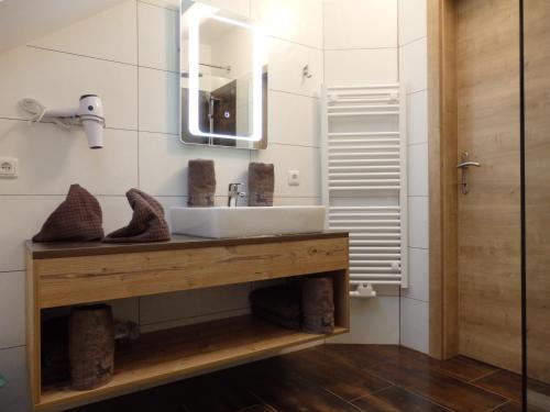 a bathroom with a sink and a mirror at Sportlerhof - Alimann UaB in Grünau im Almtal