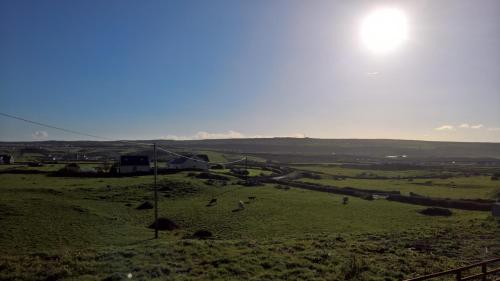 a view of a field with animals in the grass at Doolin Heights Apartment in Doolin