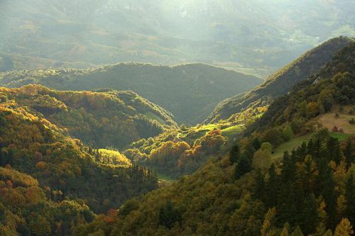 a view of a valley with trees and mountains at Hostal Rural Elosta in Lekunberri