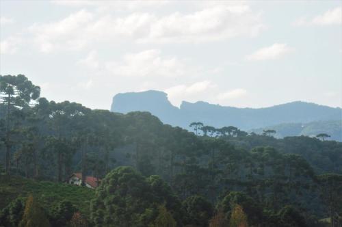 a view of a forest with mountains in the background at Repouso Mantiqueira in Santo Antônio do Pinhal