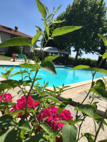 a garden with pink flowers and a swimming pool at La Renaia in Cortona