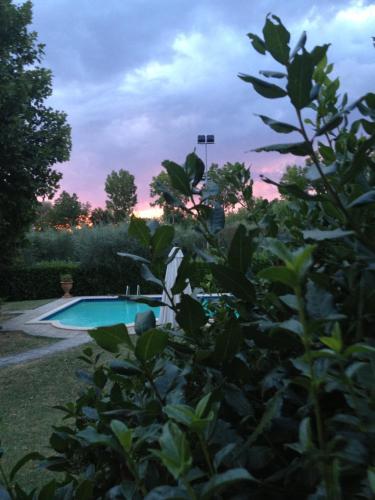 a swimming pool in a yard with a bush at La Renaia in Cortona