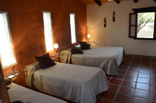 a room with two beds and two windows at Finca El Carmen Cabañas in Angastaco
