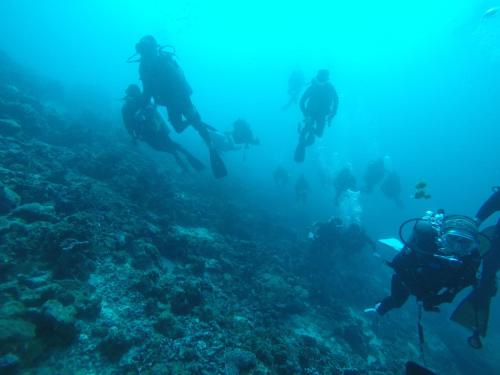 a group of people scuba diving in the ocean at Liberty Guesthouse Maldives in Mahibadhoo