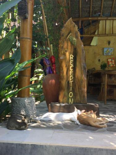 Imagen de la galería de Villa Jati Mangsit, en Senggigi 