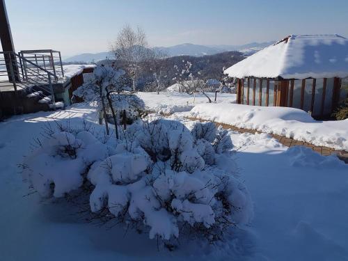 a bush covered in snow next to a house at B&B Villa Angelina in Rogaška Slatina