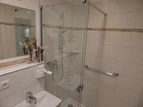 a bathroom with a glass shower and a sink at Landgasthof Winbeck in Bayerbach
