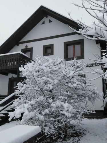 a tree covered in snow in front of a house at Pension La Roata in Gura Humorului