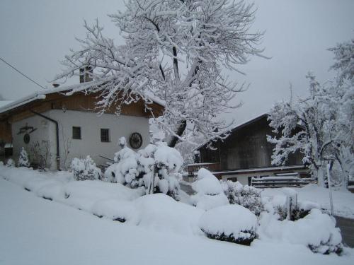 a house covered in snow next to a tree at Haus Kammerland in Zell am Ziller