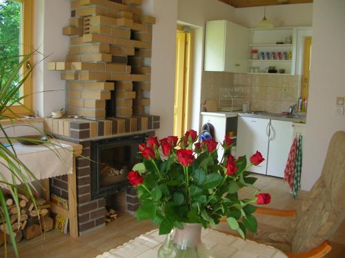 扎科帕內的住宿－Domek u Mikołaja，客厅设有壁炉和带红色花卉的花瓶。