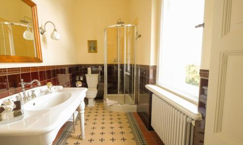 ein Bad mit einem Waschbecken, einer Dusche und einem WC in der Unterkunft Villa Vier Jahreszeiten in Crimmitschau