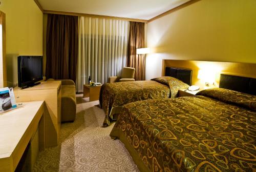 a hotel room with two beds and a flat screen tv at Adrina Termal Health & SPA Hotel in Gure