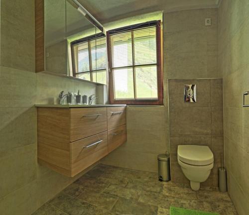 ウムハウゼンにあるAlpenchalet Farstのバスルーム(トイレ、洗面台付)、窓が備わります。