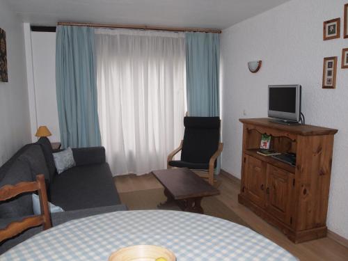 TV a/nebo společenská místnost v ubytování Alpine Hideout