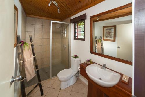 a bathroom with a toilet and a sink and a shower at Waidroka Bay Resort in Korovou