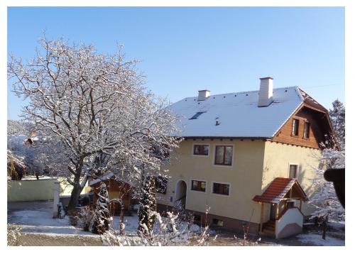 a house with snow on the roof and a tree at Apartments Himmelreich in Ternitz