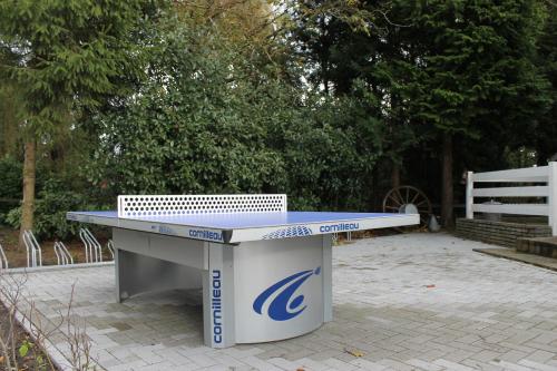 a ping pong table sitting in a park at B&B "de Wingerd" in Bruchterveld