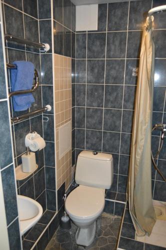 a bathroom with a toilet and a sink at K65, Nice 1-bedroom apartment - 2 big beds in Tartu