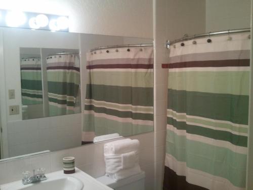 a bathroom with a sink and a shower curtain at Big Pines Mountain House in South Lake Tahoe