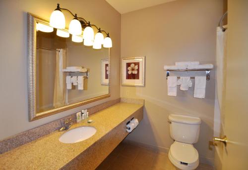 a bathroom with a sink and a mirror and a toilet at Country Inn & Suites by Radisson, Conway, AR in Conway