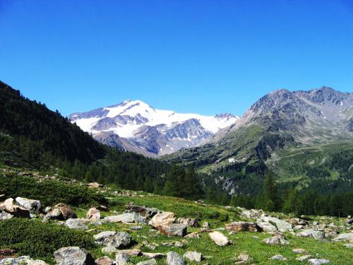a view of a mountain range with snow covered mountains at Ferienwohnungen Auhaus in Martello