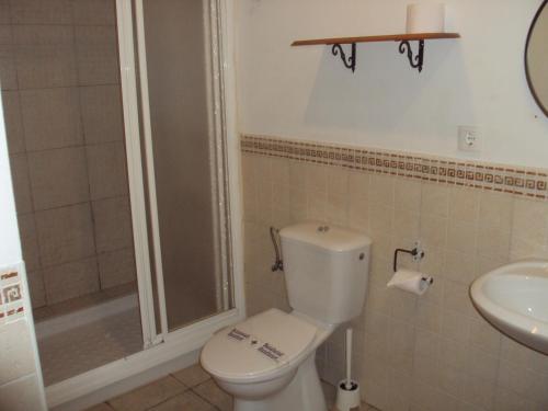a bathroom with a toilet and a shower and a sink at Hostal Fenix in Jerez de la Frontera