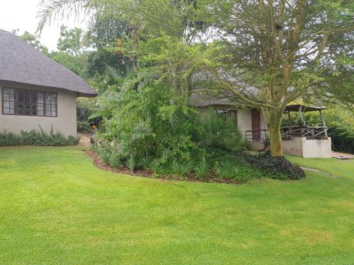 a house with a tree in front of a yard at Avoca River Cabins in Addo